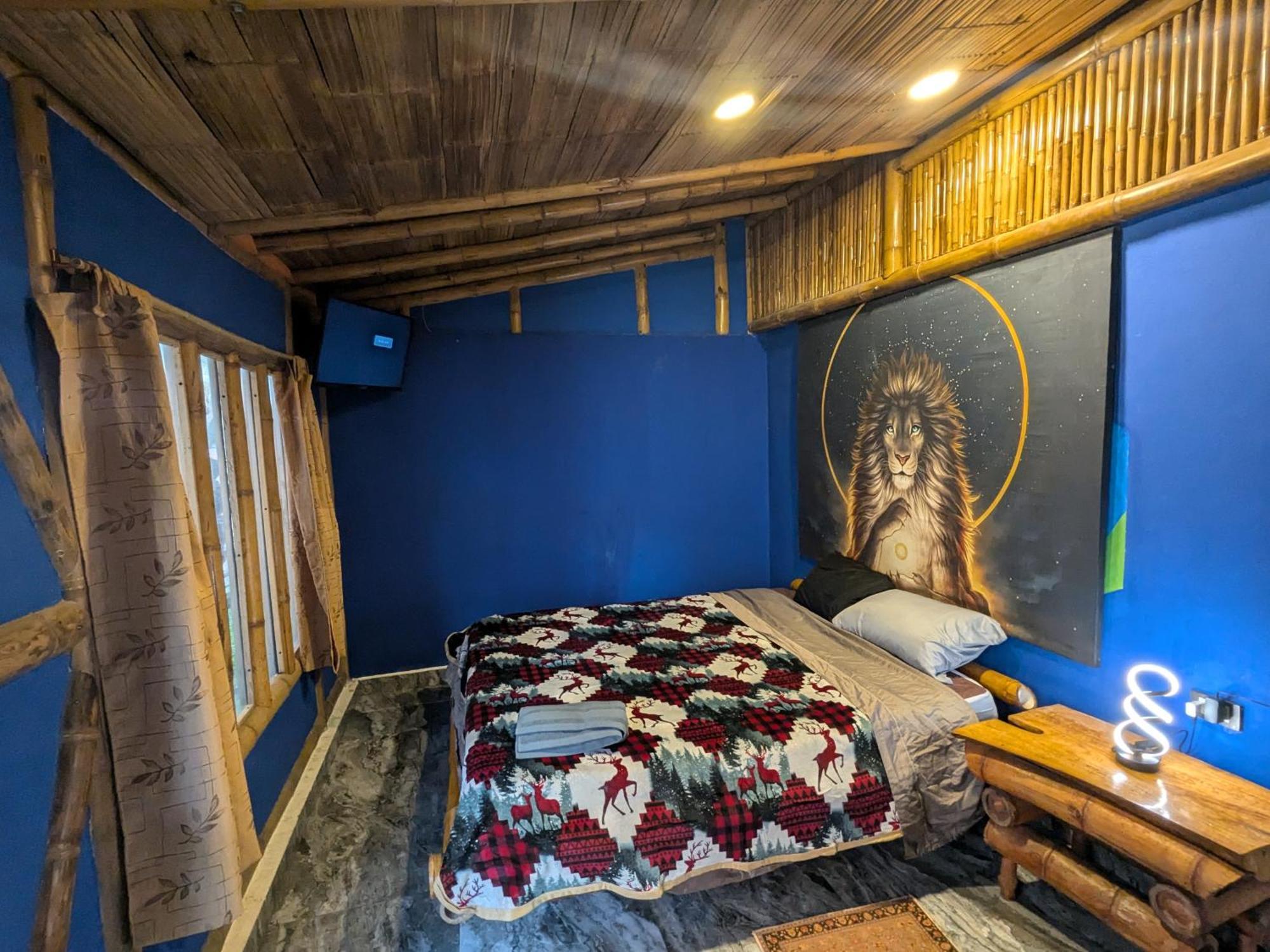 Qinti Quetzal Boutique Guest House Y Elixir Bar San Agustín المظهر الخارجي الصورة